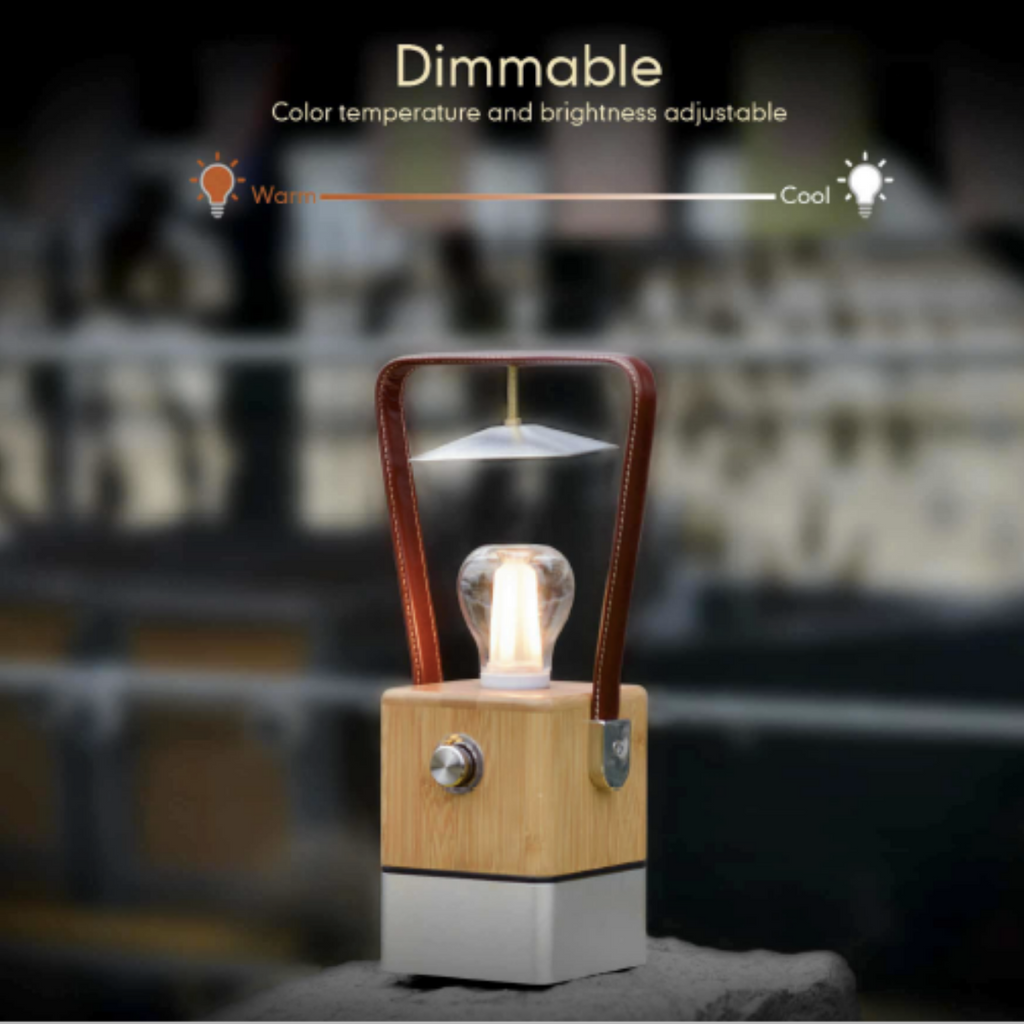 TRU De-LIGHT VIENNA Dimmbare Schreibtischlampe - Lampe / Powerbank / Dekoration All-in-One