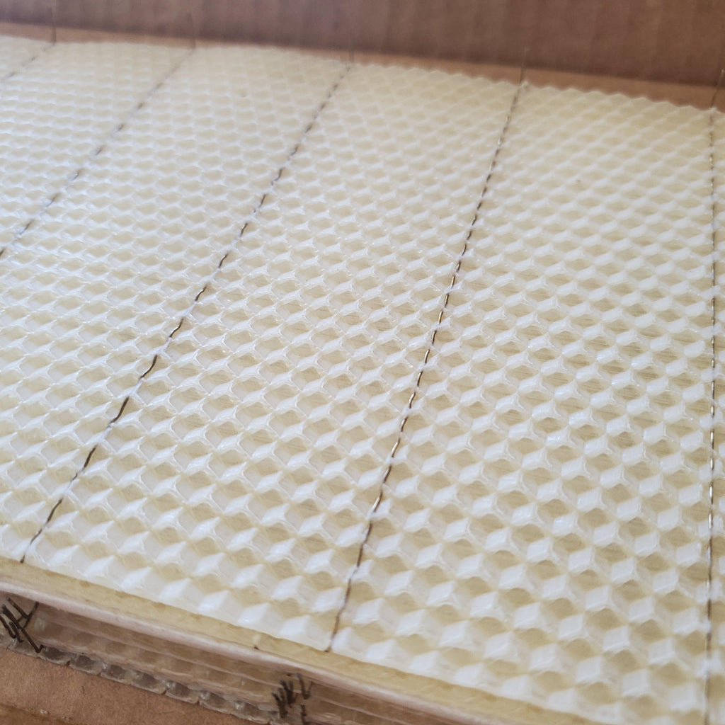 Tiefgeprägte Bienenwachs-Mittelwand – Gedrahtet mit Haken – 8 3/8 Zoll