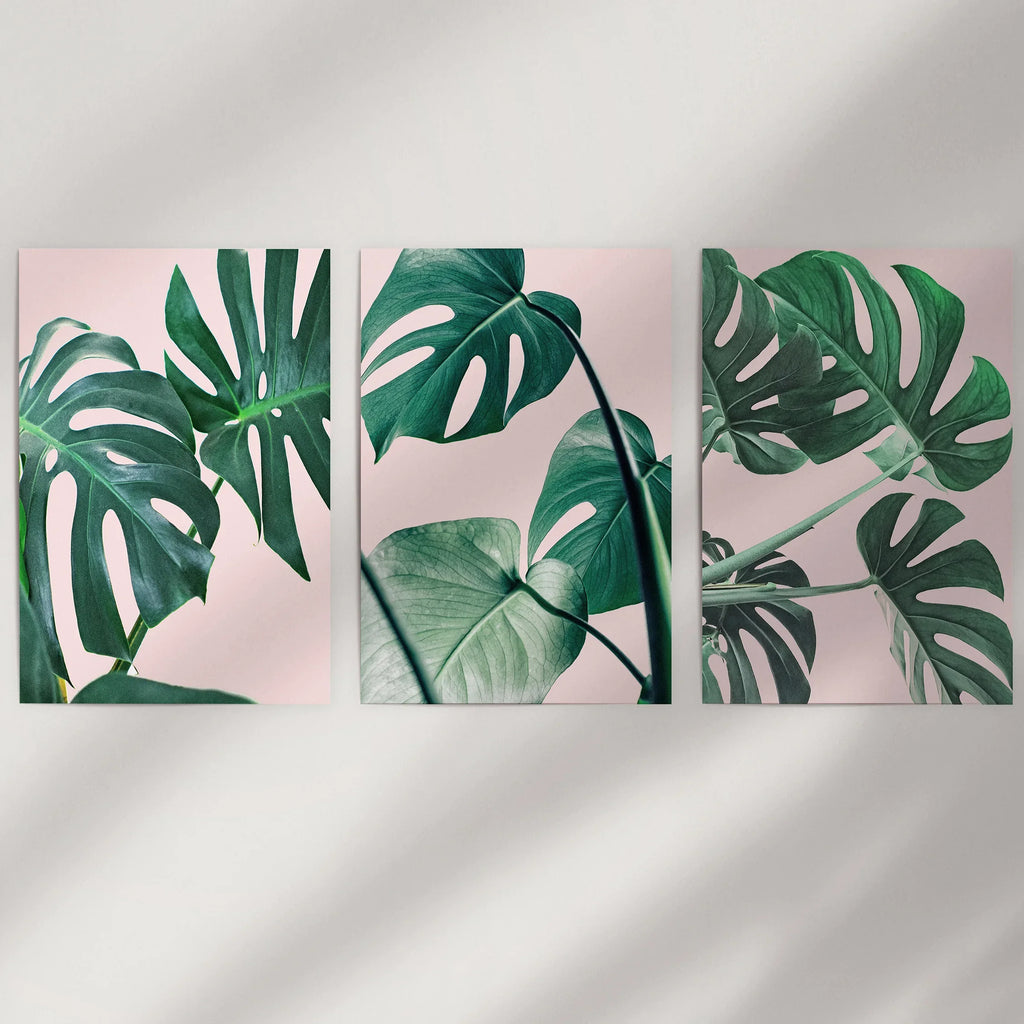 Rosa Botanische 3-teilige Wandkunst. Grüner Monstera Blätter Druck
